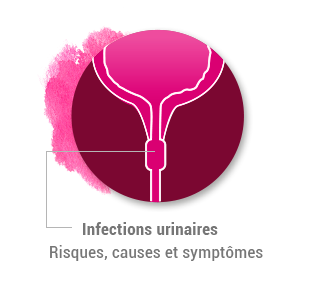 L'infection urinaire
