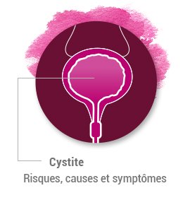 cystite